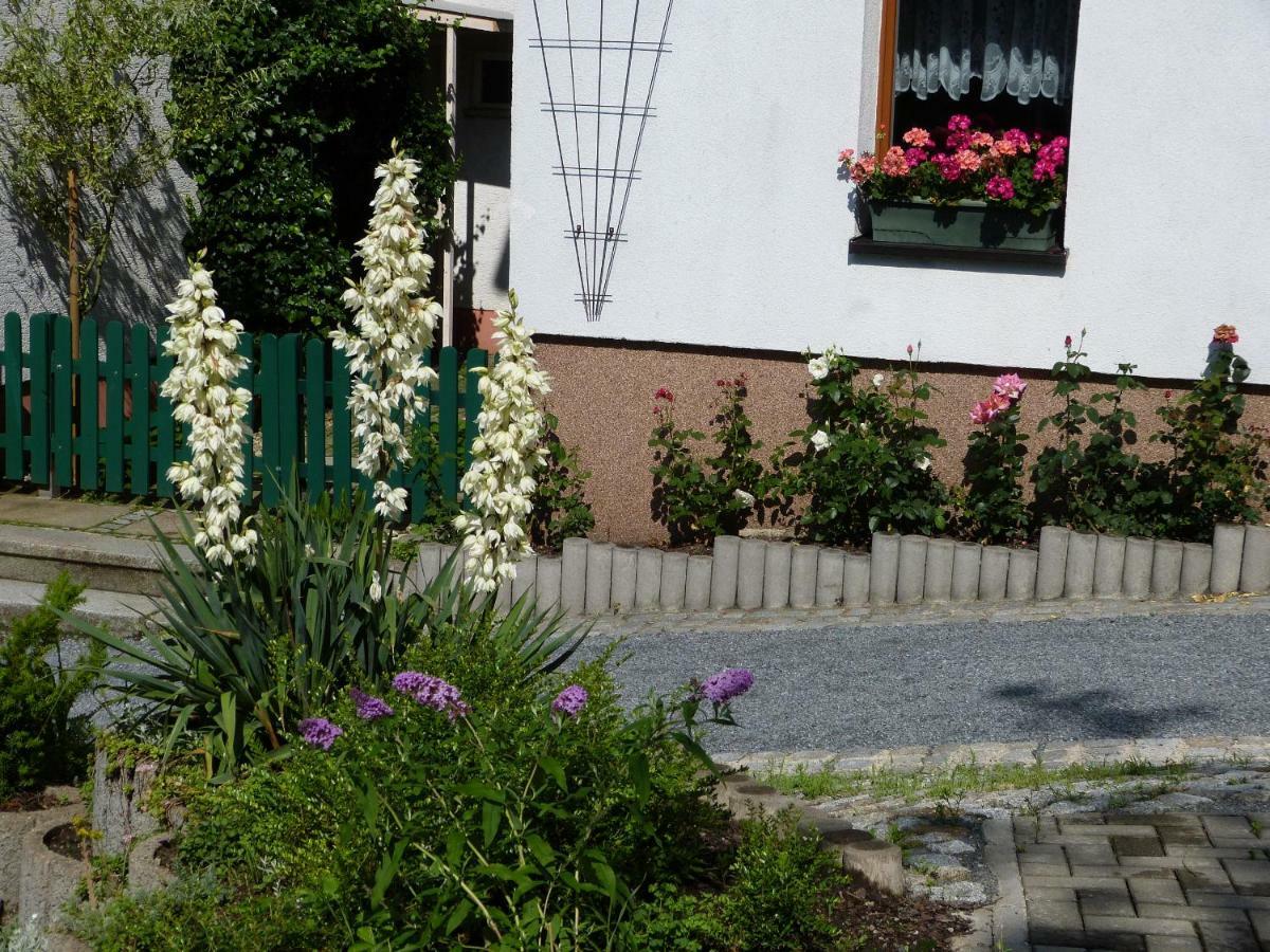 Pension Johannistal Sebnitz Esterno foto
