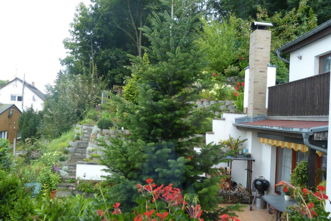Pension Johannistal Sebnitz Esterno foto